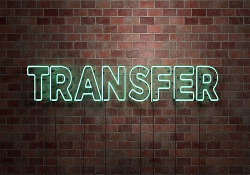 انتقال دامنه بین دو فرد