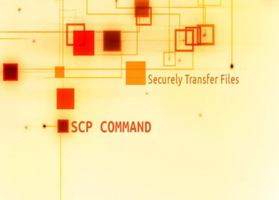 scp