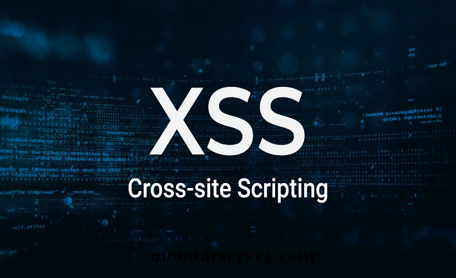 cross site scripting