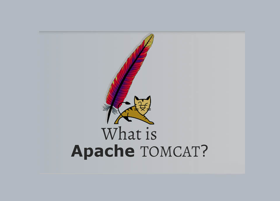 Tomcat