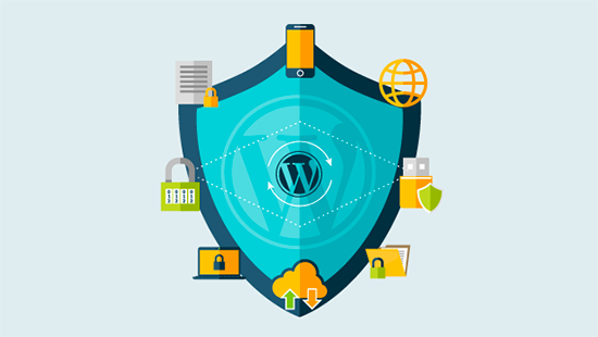 امنیت و سرعت WordPress