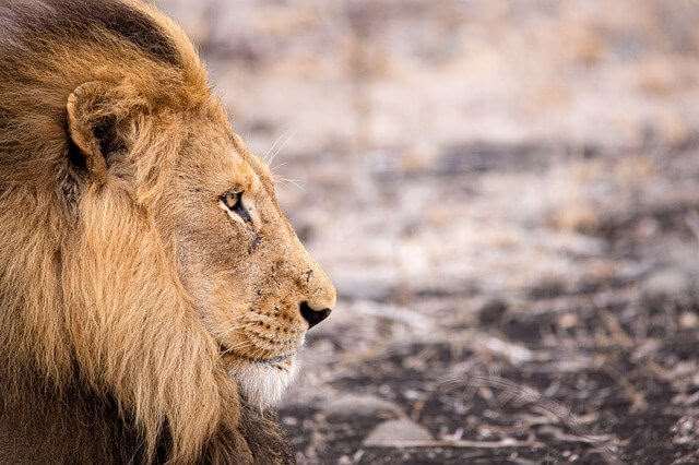 تصویر 1 بهینه سازی تصاویر