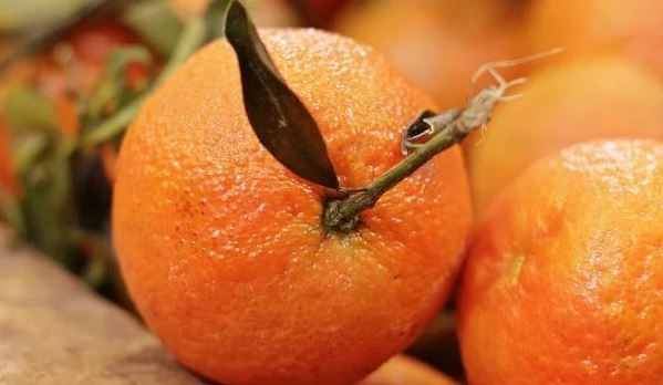 تصویر 5 بهینه سازی تصاویر