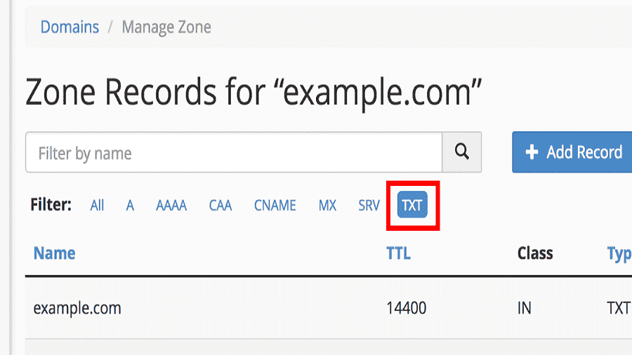 DNS TXT record