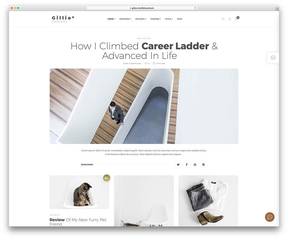 قالب های وبلاگ نویسی : Gillion (WordPress)