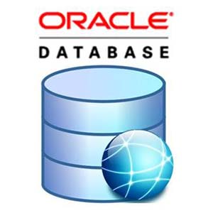 oracle database