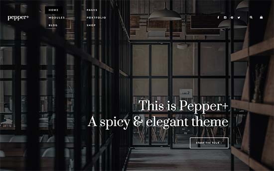 8. Pepper+