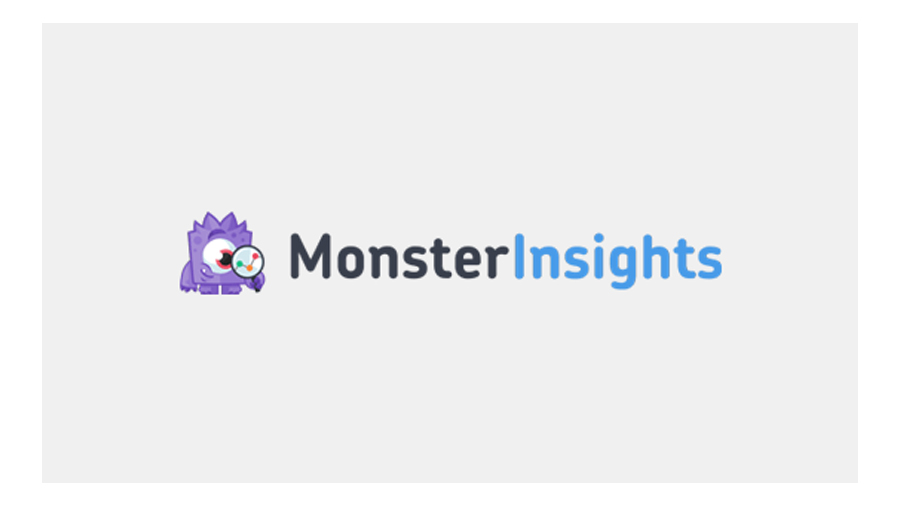 پلاگین MonsterInsights