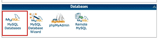 cPanel