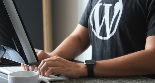 مزایای WordPress.org
