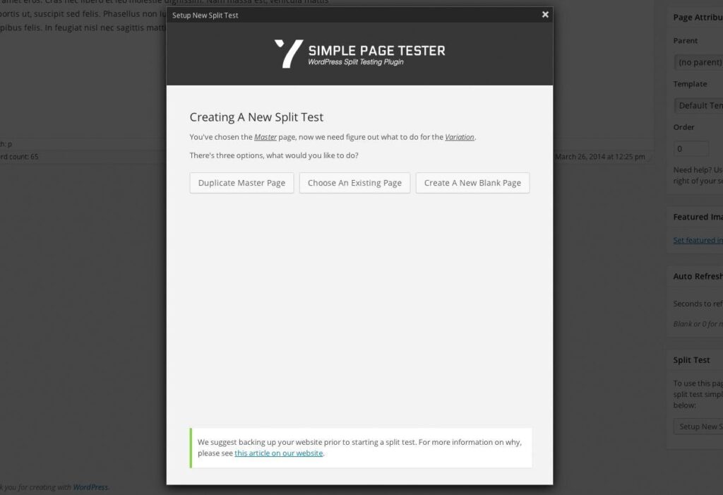 افزونه Simple Page Tester