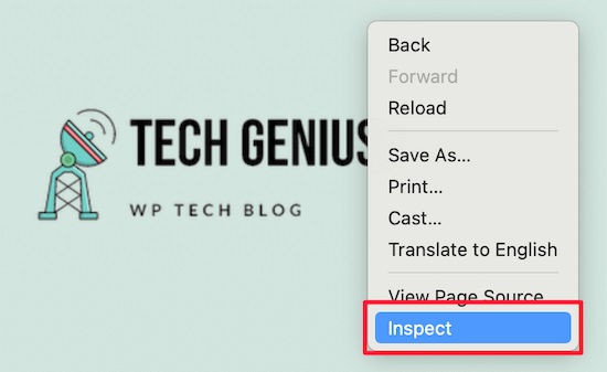 انتخاب گزینه Inspect