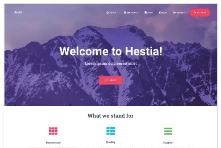 Hestia Pro، قالب وردپرس برای سایت طراحی گرافیک.