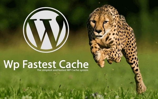 WP fastest cache از بهترین جایگزین های wp rocket