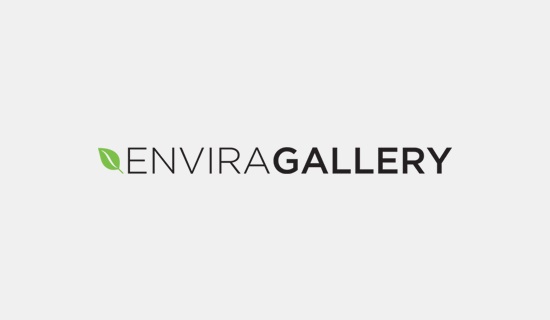 افزونه نمونه کار Envira Gallery وردپرس