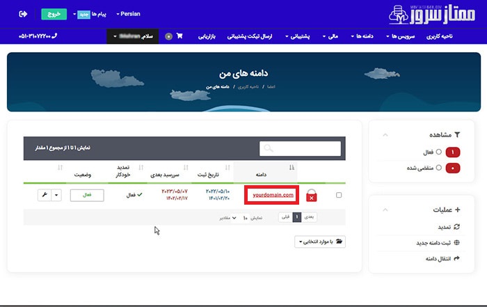 انتخاب دامنه