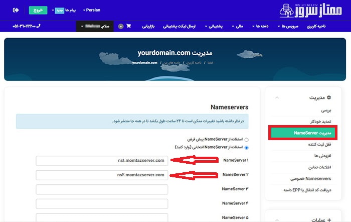 وارد کردن و تنظیم DNS